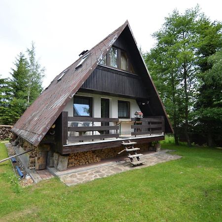 Nice Holiday Home In The Ore Mountains Only 500M From The Chairlift Loučná pod Klínovcem Exteriér fotografie